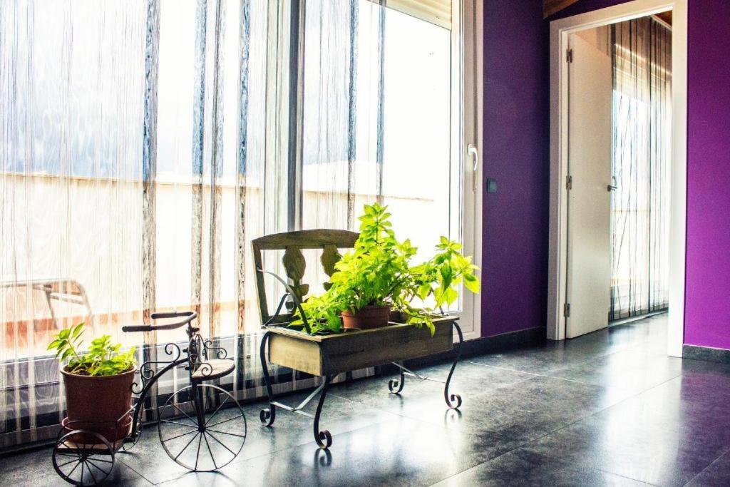 Apartamento Con Estilo Y Acogedor Sant Mateu Bagian luar foto